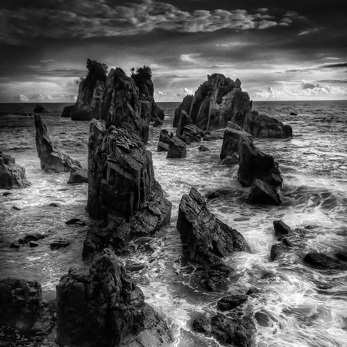 Landscape black and white