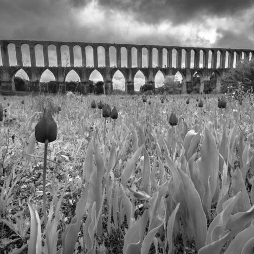 Aqueduto dos Pegões