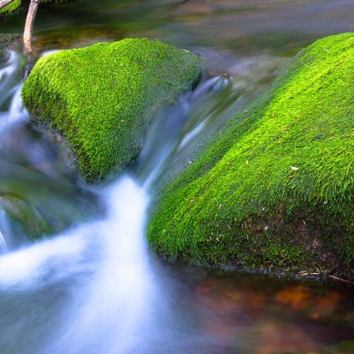 Водоскат
