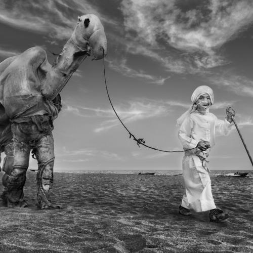 Camel driver