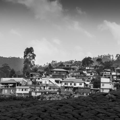 Monochrome Munnar