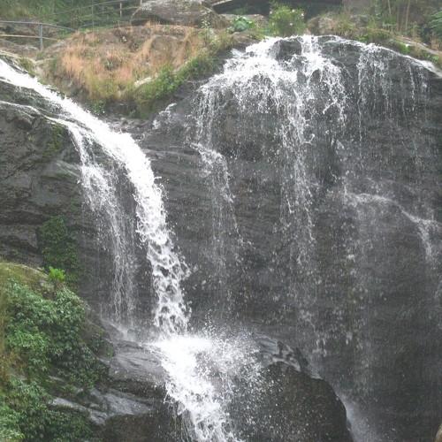 Photo #3187999