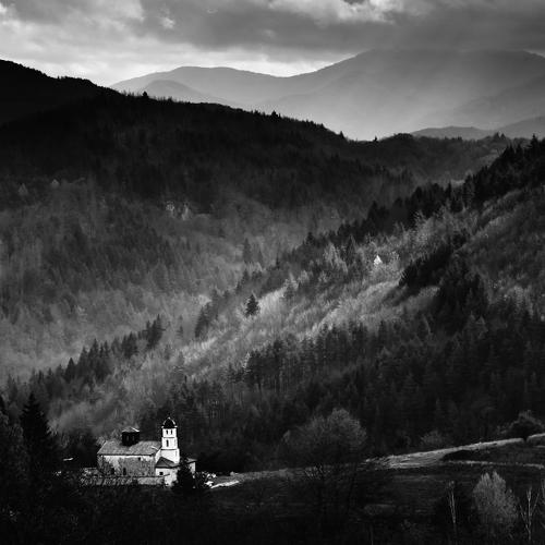 Photo #3188530