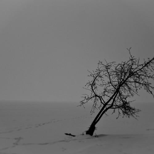Falling apart