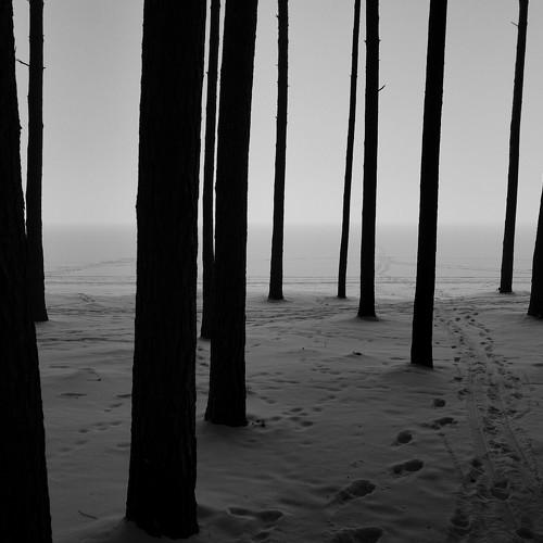 Lost