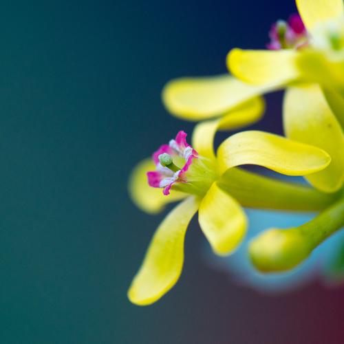 Photo #3189819