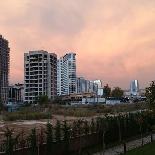 Pink sky