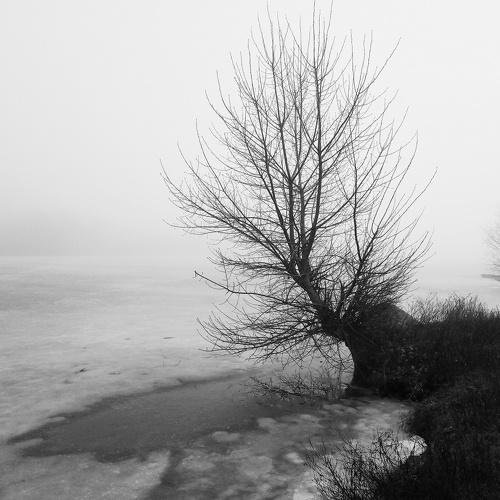 Photo #3190862