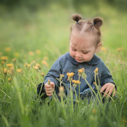 Photo #3190926