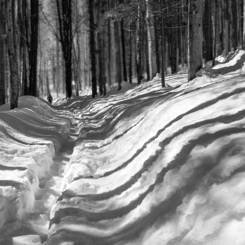 Shadows
