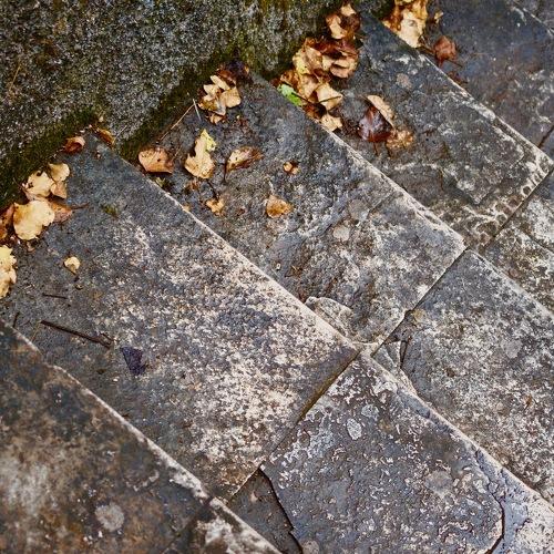 Photo #3191287