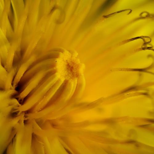 Photo #3191710