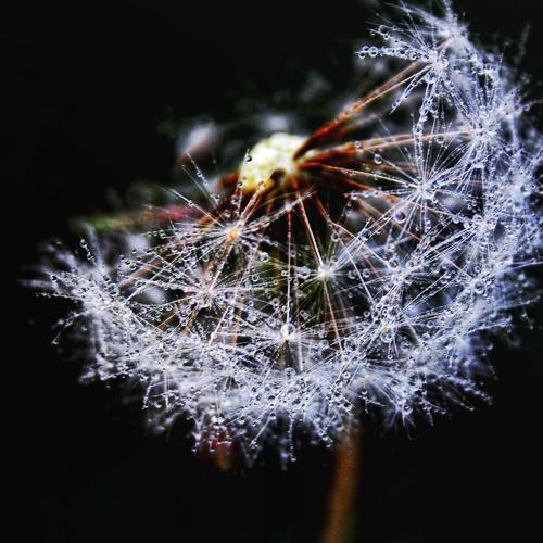 Photo #3193281