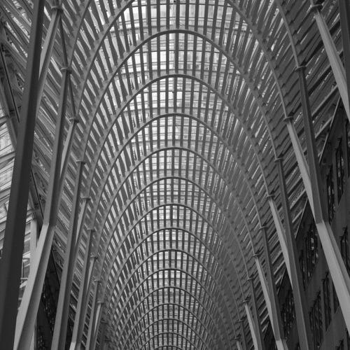 Archi