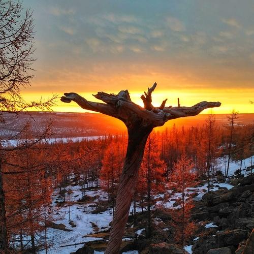 Осенний пейзаж