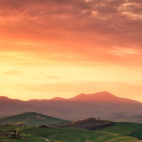 The Tuscan View