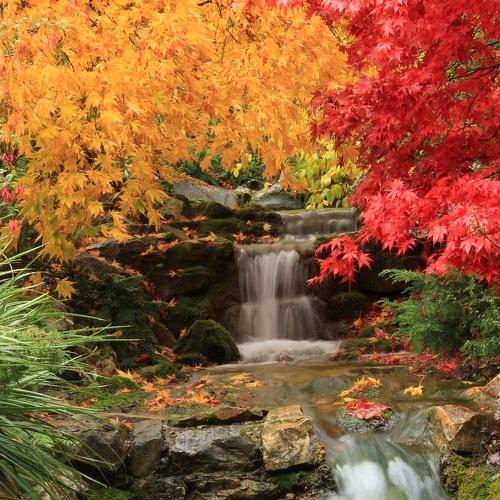 Autumn waterfall