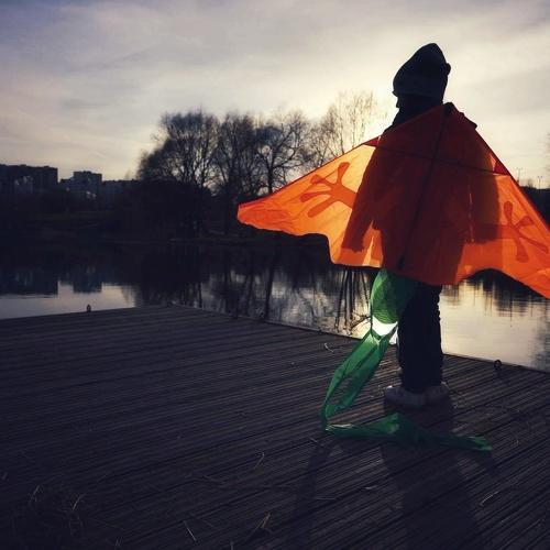 Photo #3198685