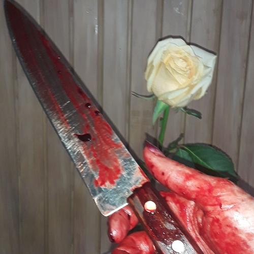 Photo #3199296