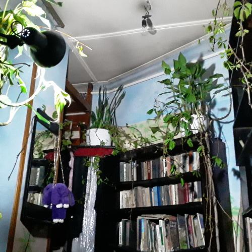 Photo #3199307