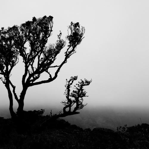 At the peak