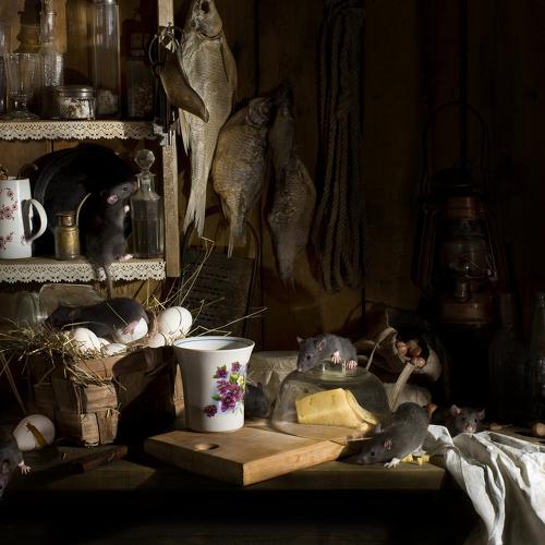 Застукали
