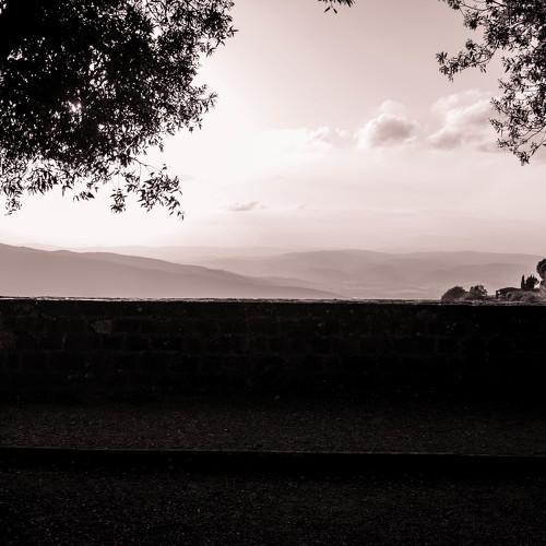 Photo #3201988