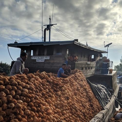 Ship and coconut