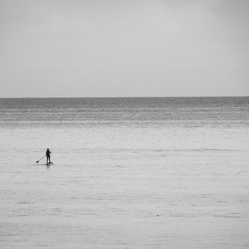 Mono