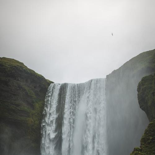 Photo #3203610