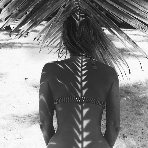 Shadow
