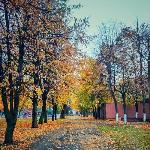 Autumn park