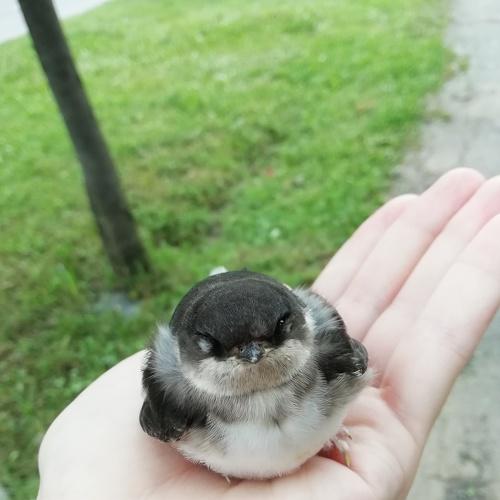 Сквозь объектив