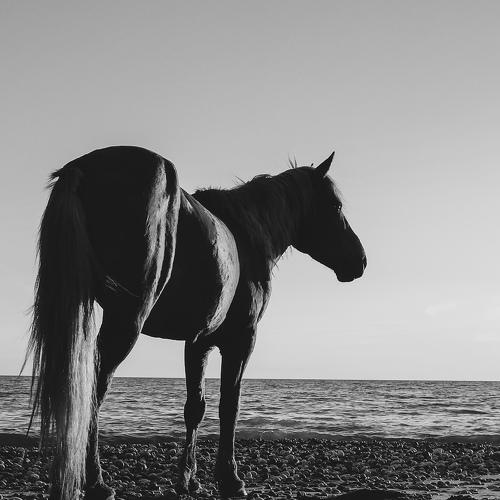 Strength in calm