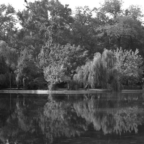 Reflections