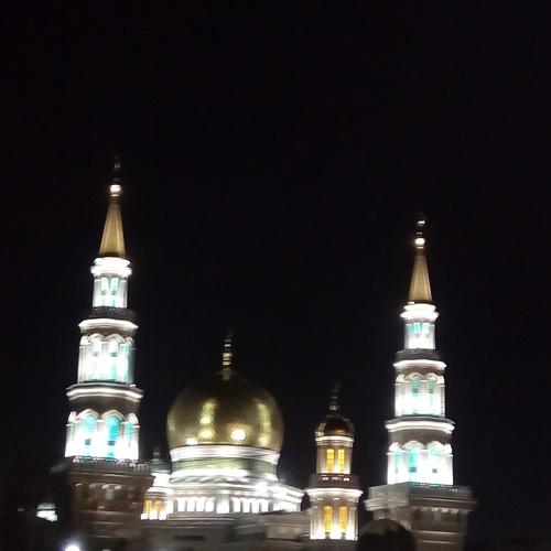 Photo #3204864