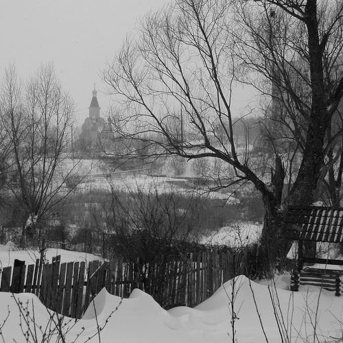 Photo #3205780