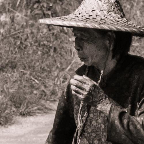 Photo #3205820