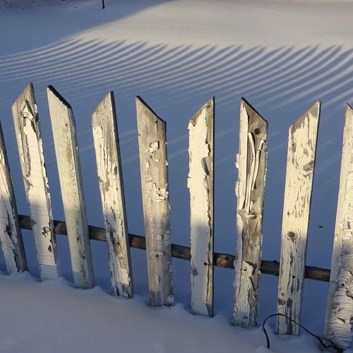 Photo #3207256