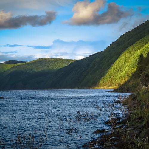 Амур