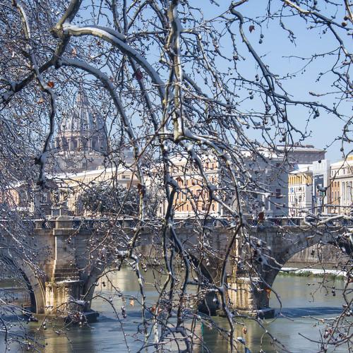 Photo #3207506
