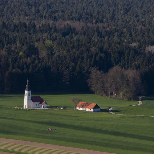 A field of hope