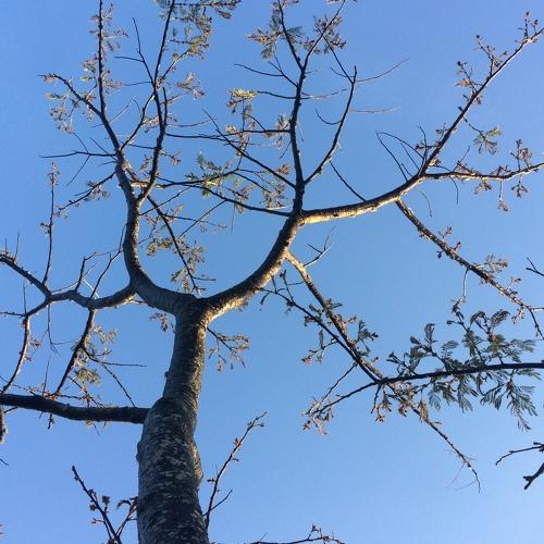 In the morning