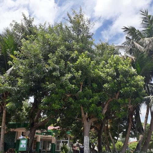 Photo #3213419