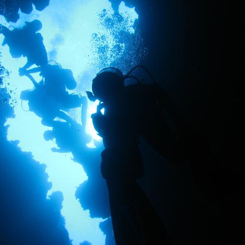Photo #3214013