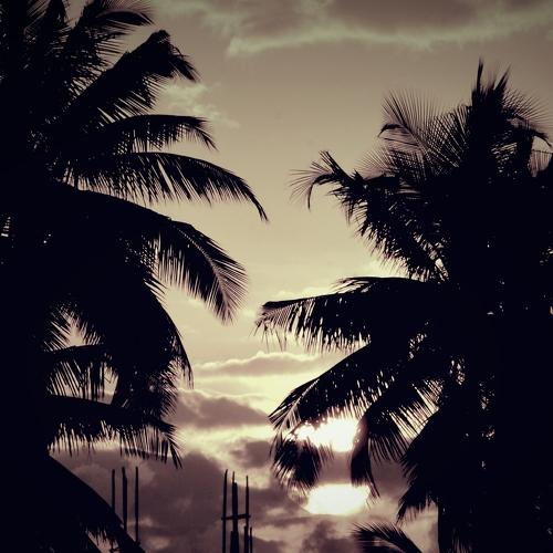 Photo #3214061