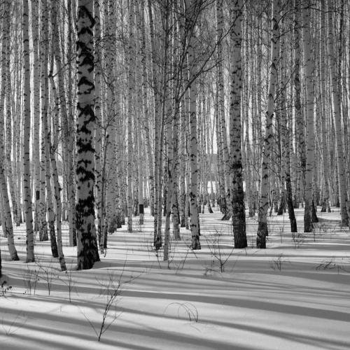 March. Март.
