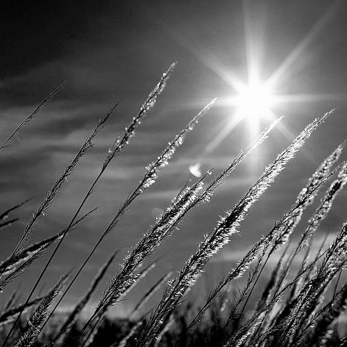 Radiance