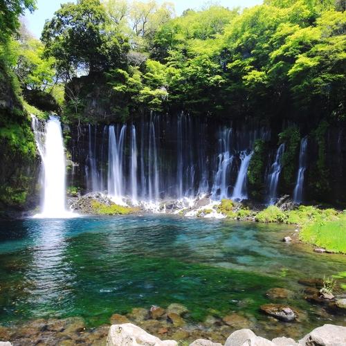 The sounds of nature