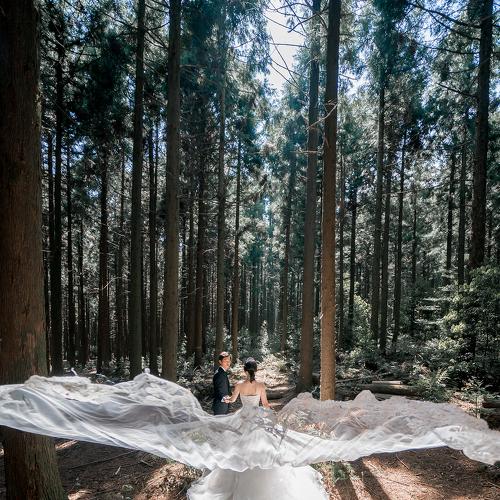 Into the forest with the Angel Bride
